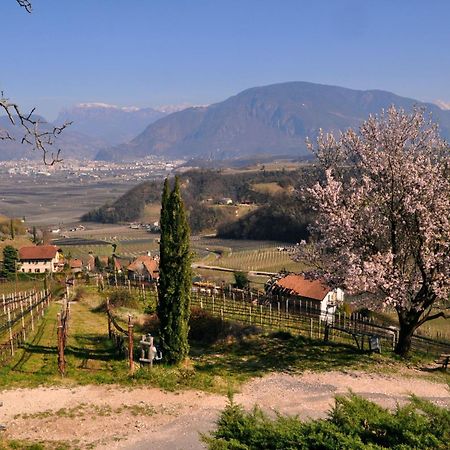Appartement Firmelein à Appiano Sulla Strada Del Vino Extérieur photo
