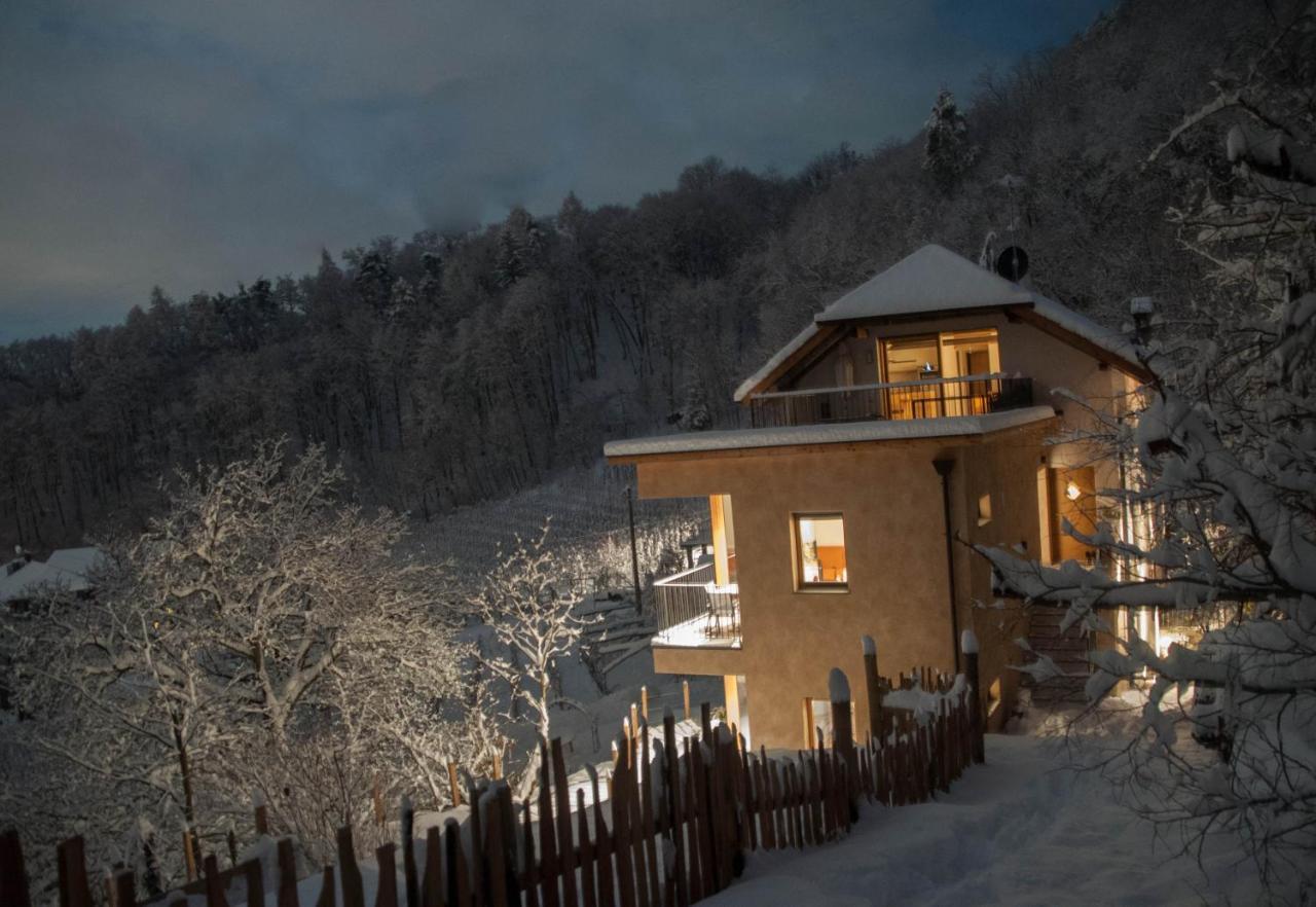 Appartement Firmelein à Appiano Sulla Strada Del Vino Extérieur photo